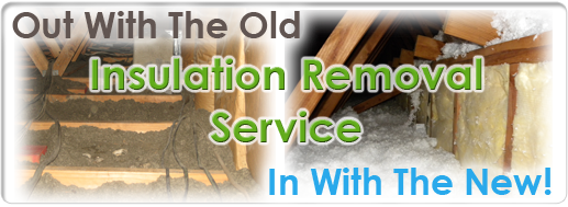 dallas insulation removal